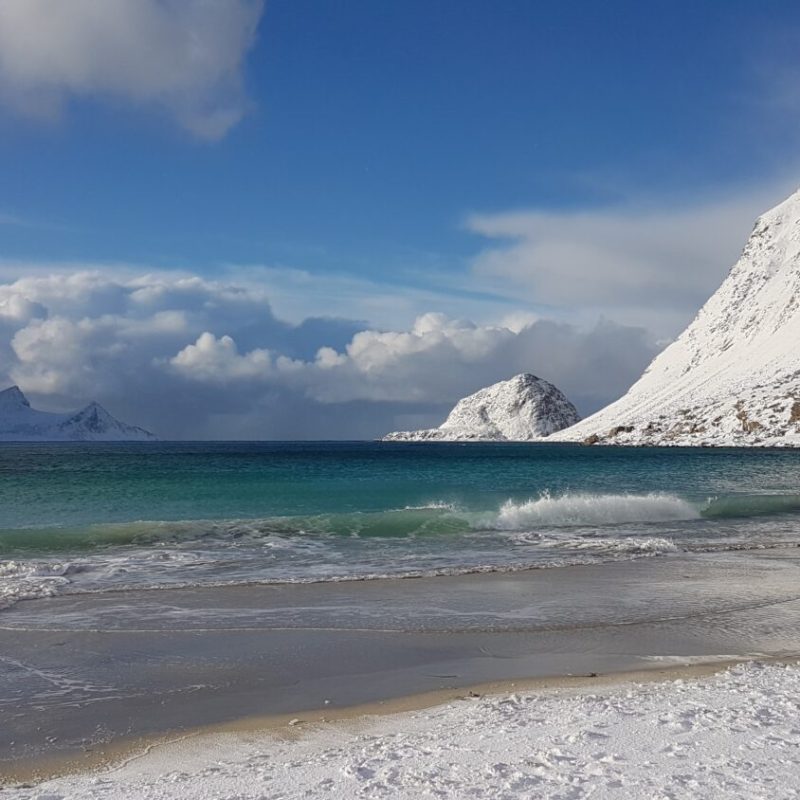 Lofoten Lights