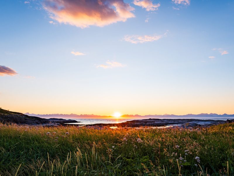 Midnight sun over the sea and meadow in the Arctic circle, Nordland County, Norway