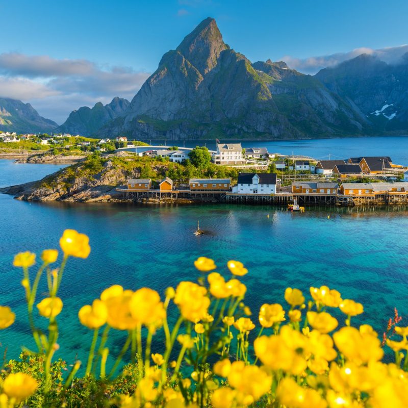 Lofoten Summer Landscape Scenic