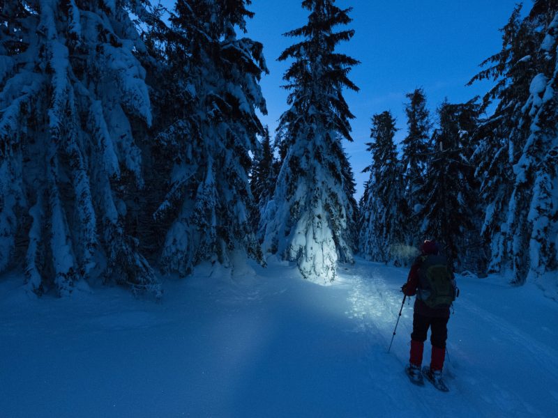 Schneeschuhwandern