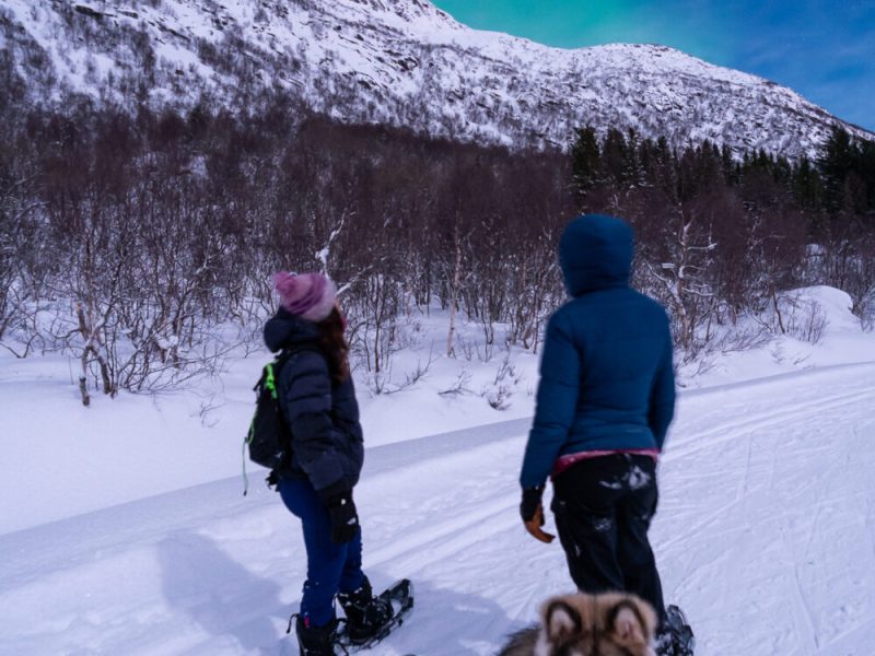 Aurora snowshoe walk