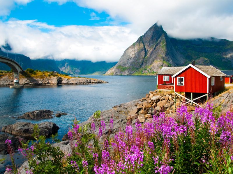 Hamnøy in the summer