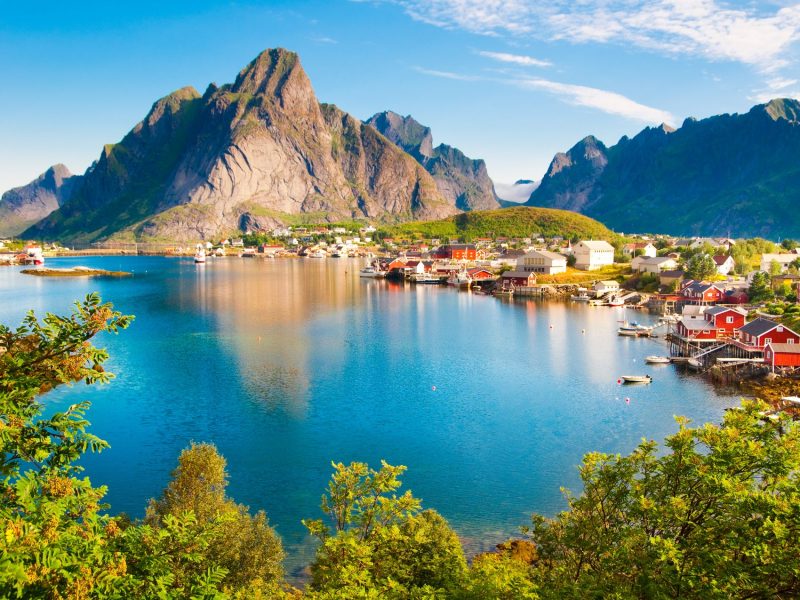 Reine 1